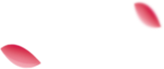 成都极趣家押球官网平台_押球（中国）一站式服务平台面案例鉴赏